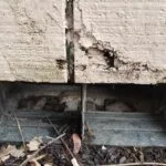 Exclusion-Before-i1