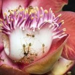 david-clode--I9TdTJLuV4-unsplash