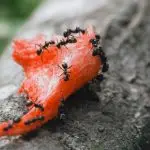 eugen-kucheruk-2N3xD2cmXpo-unsplash