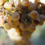 jacqueline-o-gara-BQqnfY-gDtM-unsplash