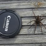 wild-spirit-cqdPJ3HbEB0-unsplash